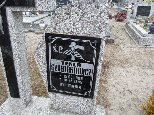Tekla Szostakiewicz 1909 Bobrowice - Grobonet - Wyszukiwarka osób pochowanych